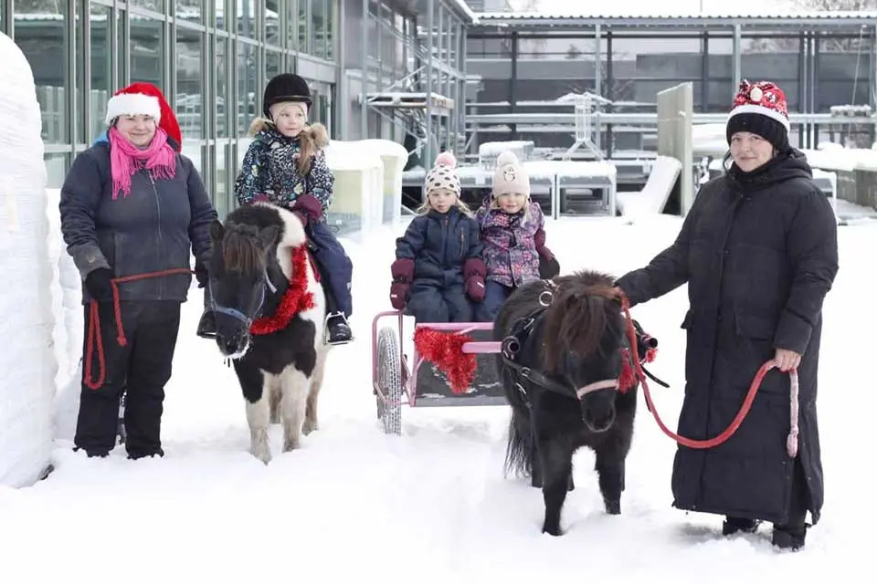 Aikuiset taluttavat poneja Prisman lastentapahtumassa. Lapsi istuu ponin selässä ja kaksi lasta toisen ponin vetämisstä kärryissä.