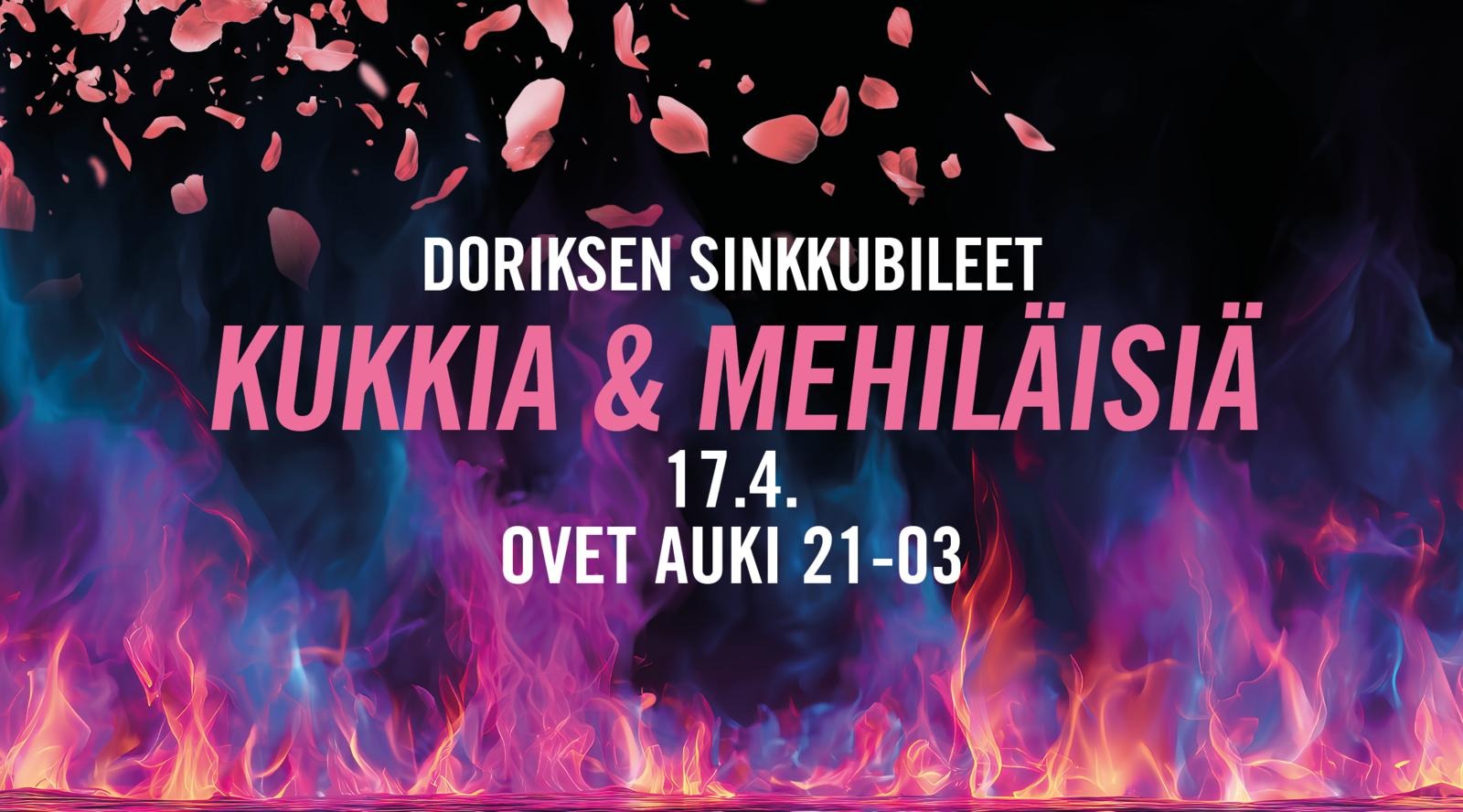 sinkkubileet rovaniemi