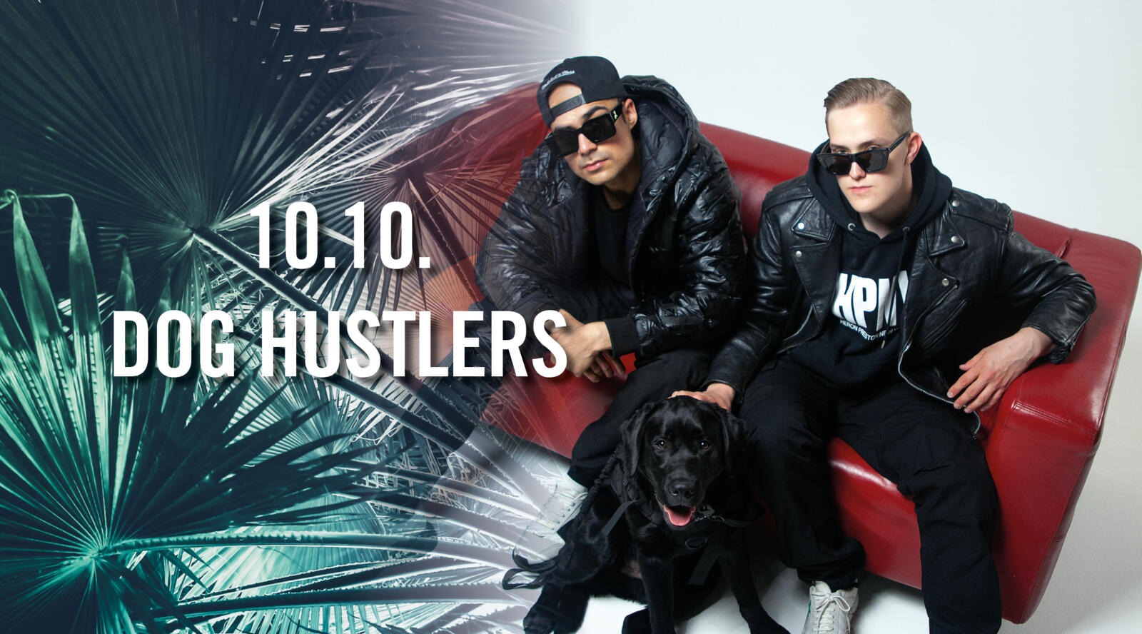 dog hustlers rovaniemi
