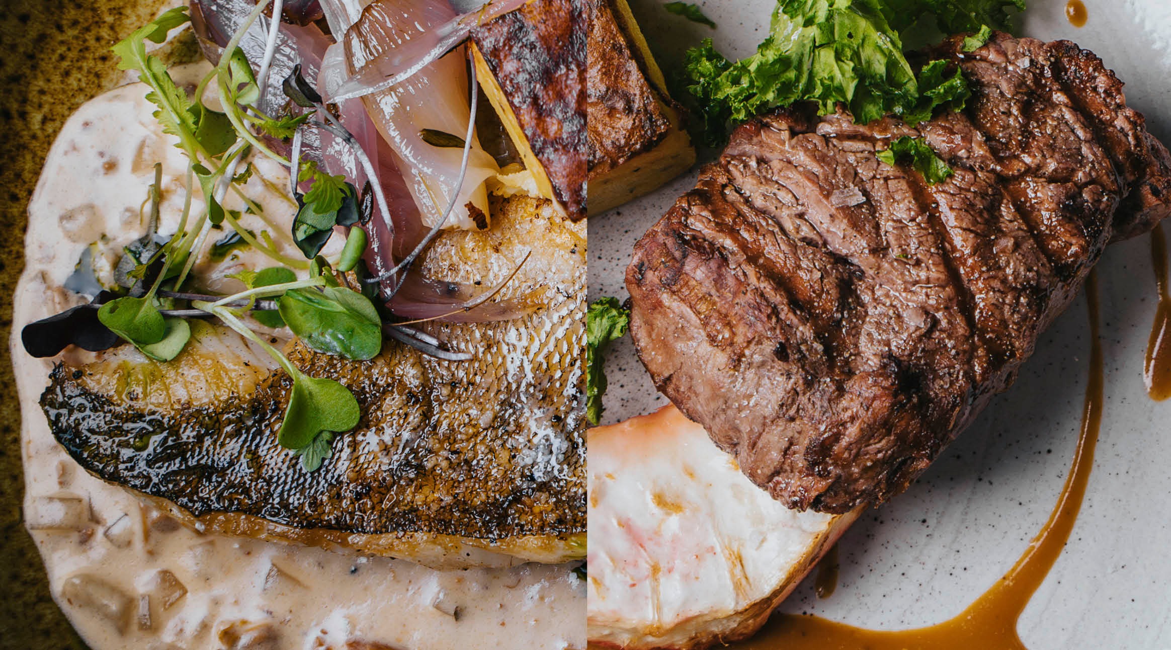 Meal in two parts: on the left, fish with cream sauce and microgreens; on the right, a juicy steak with herbs.
