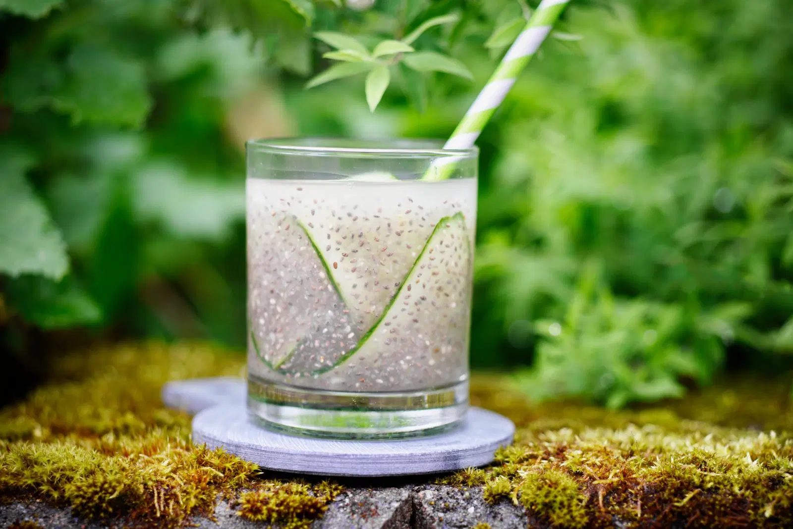 Chia fresca eli chiajuoma