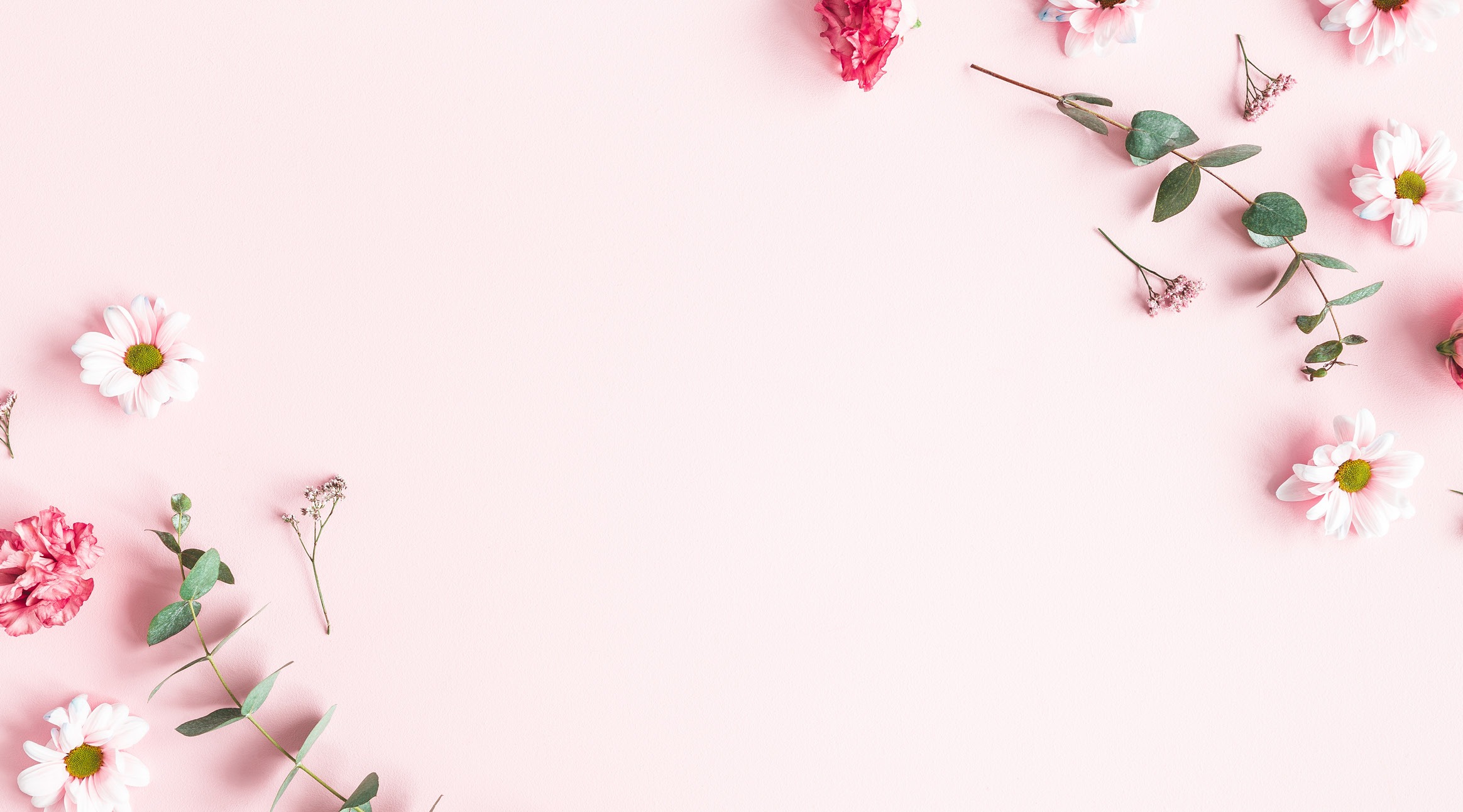 Rosa bakgrund med vita prästkragar, rosa blommor och eukalyptuskvistar dekorativt placerade runt bildkanten som en ram.