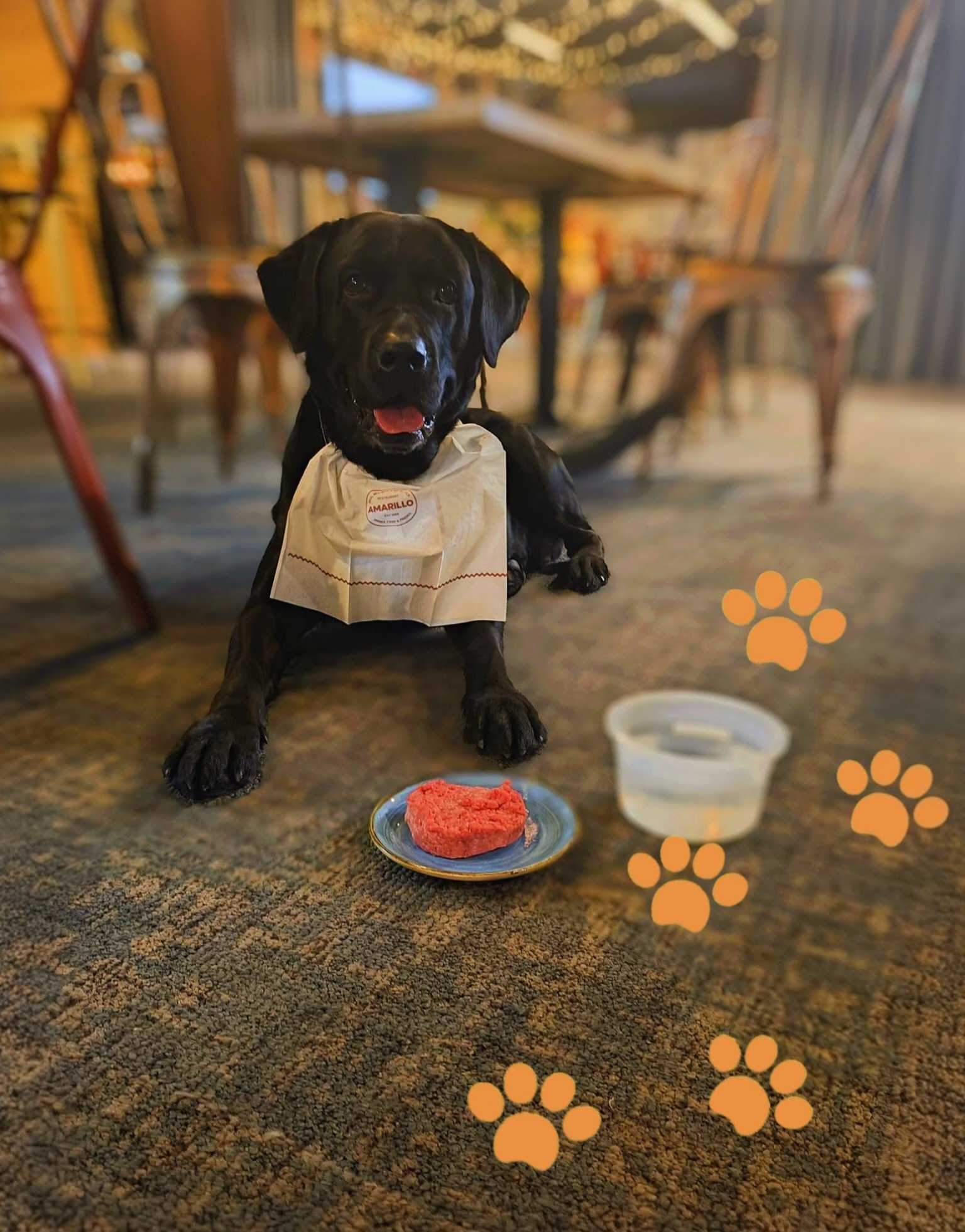 Must labrador lamab vaibaga kaetud põrandal, kaelas söögilapp, ees taldrik punase toiduga ja veekausike. Oranžid käpajäljed kaunistavad pilti.