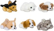 Petooties Pet Series Pikkupehmp (734689262854)