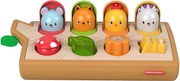 Fisher Price Hide & Peek Pop - Up Gjw24 (887961819083)