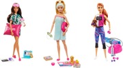 Barbie Wellness Doll Gkh73 (887961827767)