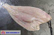 Msc Kuningaskampelafile Tuore 5Kg (2004552500009)