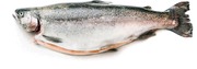 Kirjolohi Superior Kokonainen Palvelutiski (2004799100000)