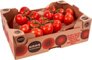 Nams terttutomaatti (2008034700000)