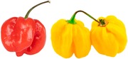 Habanero Keltainen Erittäin Tulinen 10 (2008065300002)