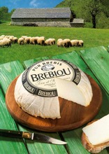 Brebiou Lampaanmaitojuusto (2009699700008)