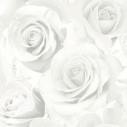 Studio Decor Kuitutapetti J28719 Ruusu (3294270287194)