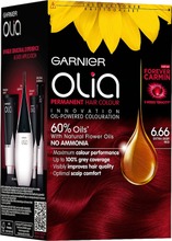 Garnier Olia 6.66 Extra Deep Red Erittäin Syvä Punainen Kestoväri 1Kpl (3600541524354)