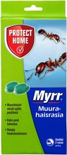 Myrr Muurahaisrasia 2Kpl (3664715013440)