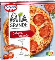 Dr. Oetker La Mia Grande Salame Piccante (4001724031079)
