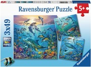 Ravensburger Palapeli Ocean Life 3X49p (4005556051496)