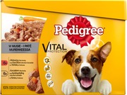 Pedigree Murekelajitelma 12X100g (4008429103759)
