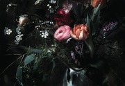 Studio Decor Valokuvatapetti 8-999 Still Life 368X254cm (4036834089993)
