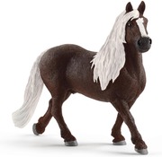 Schleich Schwartswaldin Ori (4059433038988)