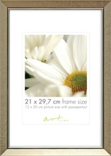 Artlink Kehys Elegant Champagne 21X29,7cm (4740100314343)