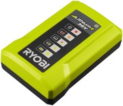 36V Akkulaturi Ry36c17a (4892210179425)