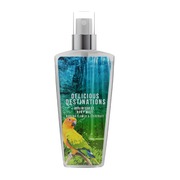Delicious Destinations Body Mist 100Ml - Rain Forest Vartalotuoksu (5013692253710)