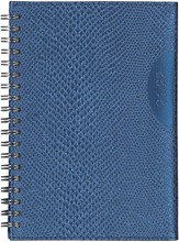 Kalenteri Python Sininen (5700091100447)