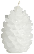 Männynkäpy Valkoinen (5703855780428)
