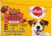Pedigree Adult Hyytelölajitelma 12X100g (5900951249341)