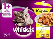 Whiskas 1+ Ragout Siipikarjalajitelma Hyytelössä 12X85g (5900951264405)