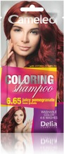 Cameleo Sävyshampoo-6.65 Jiucy Pomegr (5901350474303)