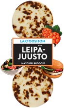 Juustoportti Minileipäjuusto 2 X N.60 G/120 G Laktoositon (6408651014102)