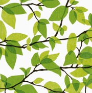 Finlayson Lautasliina Kesäkuu Vihreä 24Cm 20Kpl (6411630124112)