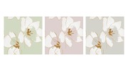 Pentik Koristeliina Lajitelma 24Cm 20Kpl Amaryllis Vaaleanharmaa 12Pkt, Amaryllis Vaaleanpunainen 14Pkt, Amaryllis Vaaleanvihreä 14Pkt (6411630508004)