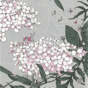 Havi Nuppu Tissue Lautasliina Syysmuutto Helmenharmaa 24Cm 20Kpl (6411633326728)