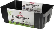Biolan Kasteluallas (6411964055120)