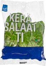 Kotimaista 100G Suomalainen Keräsalaatti (6414894500159)