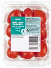 Rainbow 250G Espanjalainen Miniluumutomaatti (6414894500210)