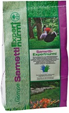 Siemen 1kg Sametti-Expertnurmi nurmikkosiemenseos (6415152800318)