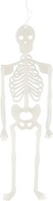 Pimeässä Loistava Luuranko 4 Kpl (6415160269671)