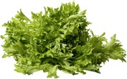 Makea Friseesalaatti 100G 1Lk (6415350012605)