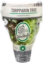Järvikylä Min. 120G Torpparin Trio Salaatti, Ruukku (6416046195008)
