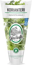 Järvikylä Min30g Korianteri (6416046362004)
