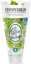 Järvikylä Min25g Lehtipersilja (6416046378005)