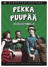 Dvd Pekka Puupää Kesälaitumilla (6416415975873)