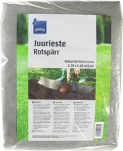 Rainbow Juurieste 6M² (6416556100851)
