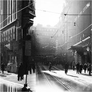 Vallila Kuitutapetti Aleksi 5239-1 11,2M (6417271523918)