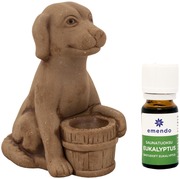 Emendo Saunakoira + Saunatuoksu Eukalyptus 10Ml (6417892034640)