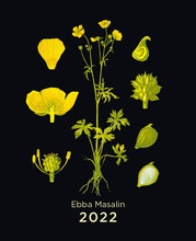 Ebba Masalin 2022 (6418428811476)