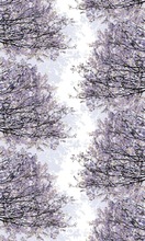Vallila Verho Havina 140X250 Cm Lila (6419835174253)